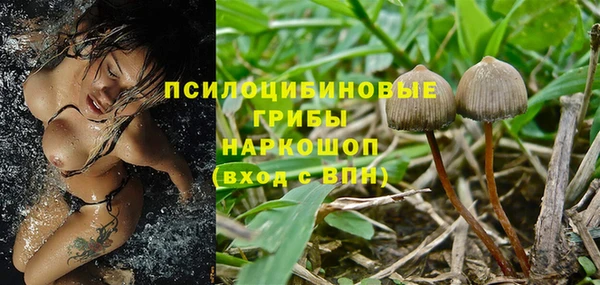 mdpv Арсеньев