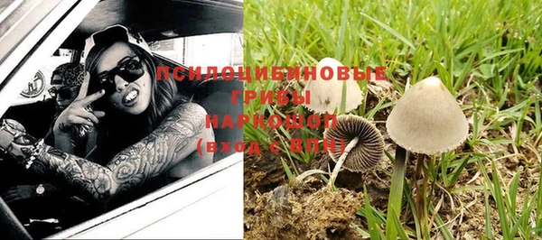 mdpv Арсеньев