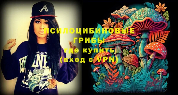 apvp Аркадак