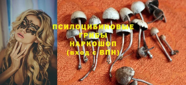 mdpv Арсеньев