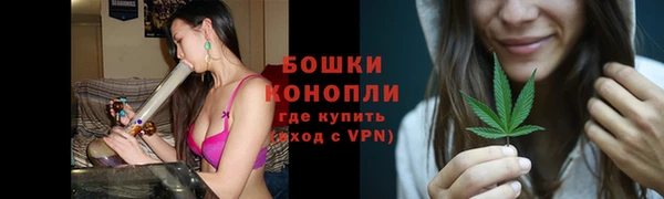 винт Касимов
