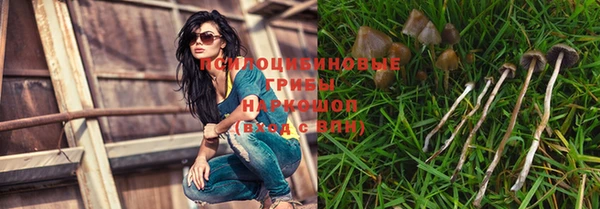 mdpv Арсеньев