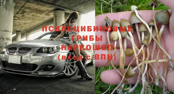 apvp Аркадак