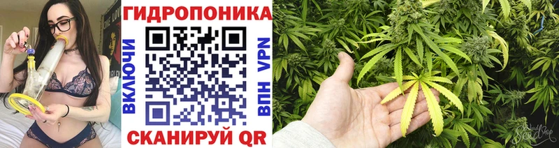 Каннабис планчик  закладки  Бирюч 
